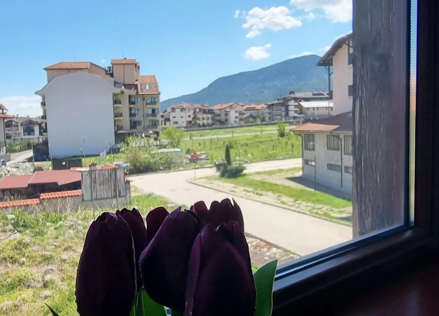 2Br Mountain View Apartment - 250Mbps Wifi Bansko