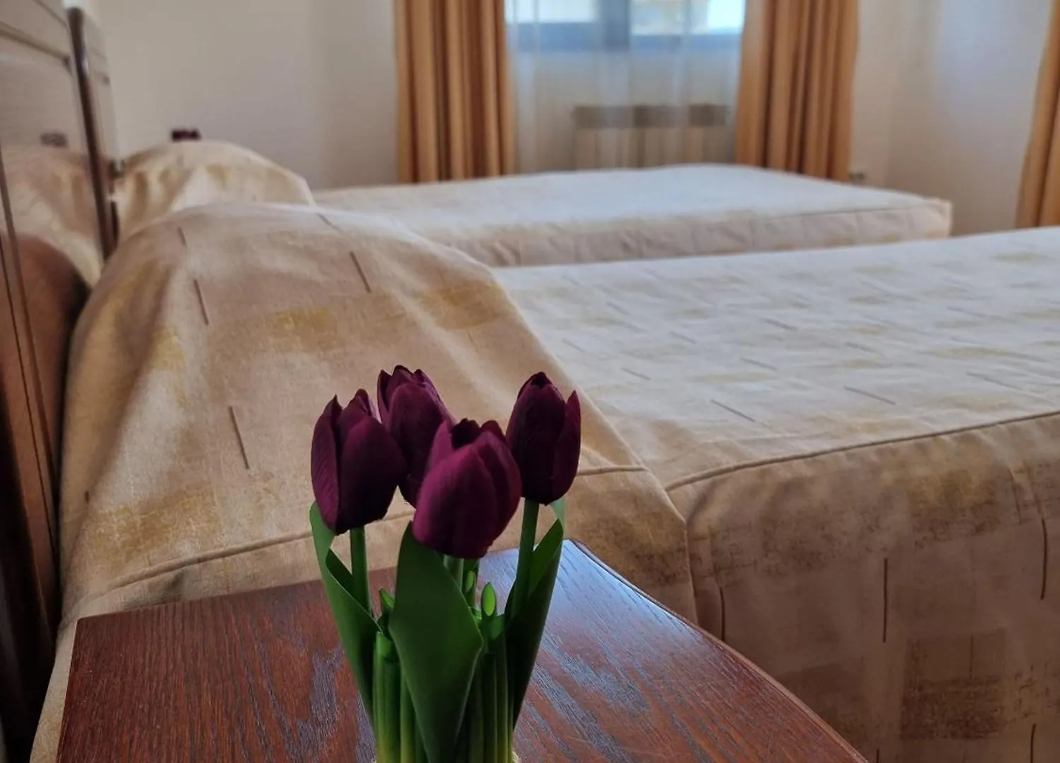 2Br Mountain View Apartment - 250Mbps Wifi Bansko 0*,  Bulgarien